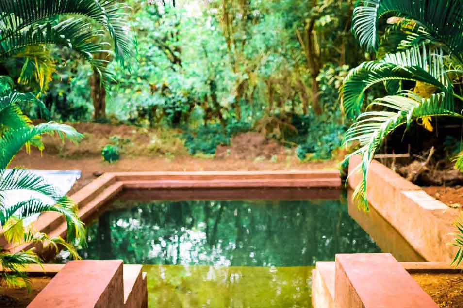 Natural Pool The Goa Plan