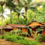 Nature Resorts In Goa- An immersive experience of Natures bounty